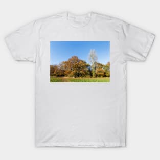 Autumnal Trees on a Sunny Day T-Shirt